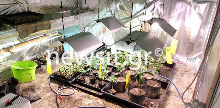 Αργυρούπολη: Έκαναν το κομμωτήριο... εργαστήριο κάνναβης! Βίντεο ντοκουμέντο από το «ντου» των κομάντος