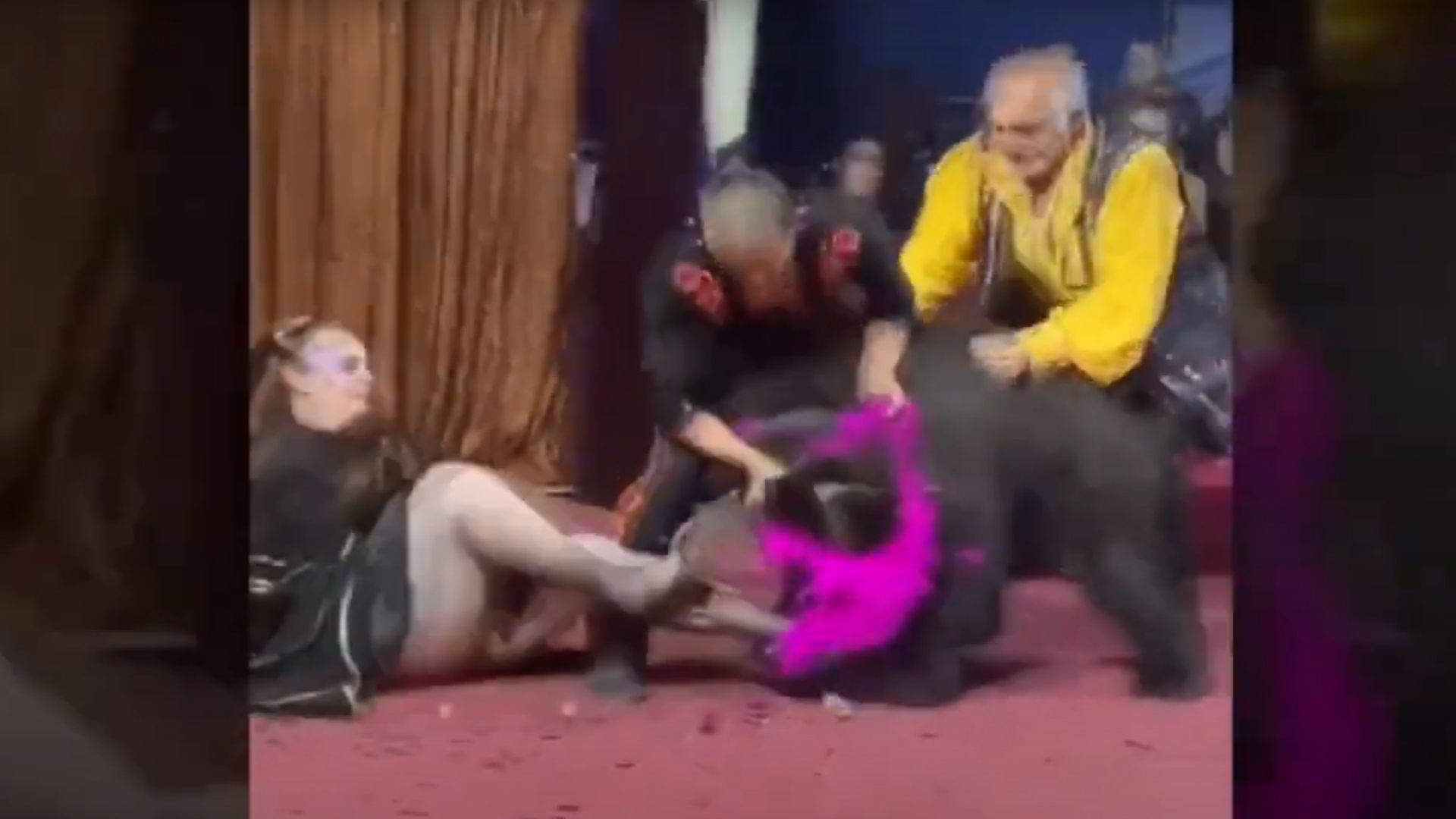 Ρωσία: Αρκούδα όρμησε σε γυναίκα κατά τη διάρκεια παράστασης
