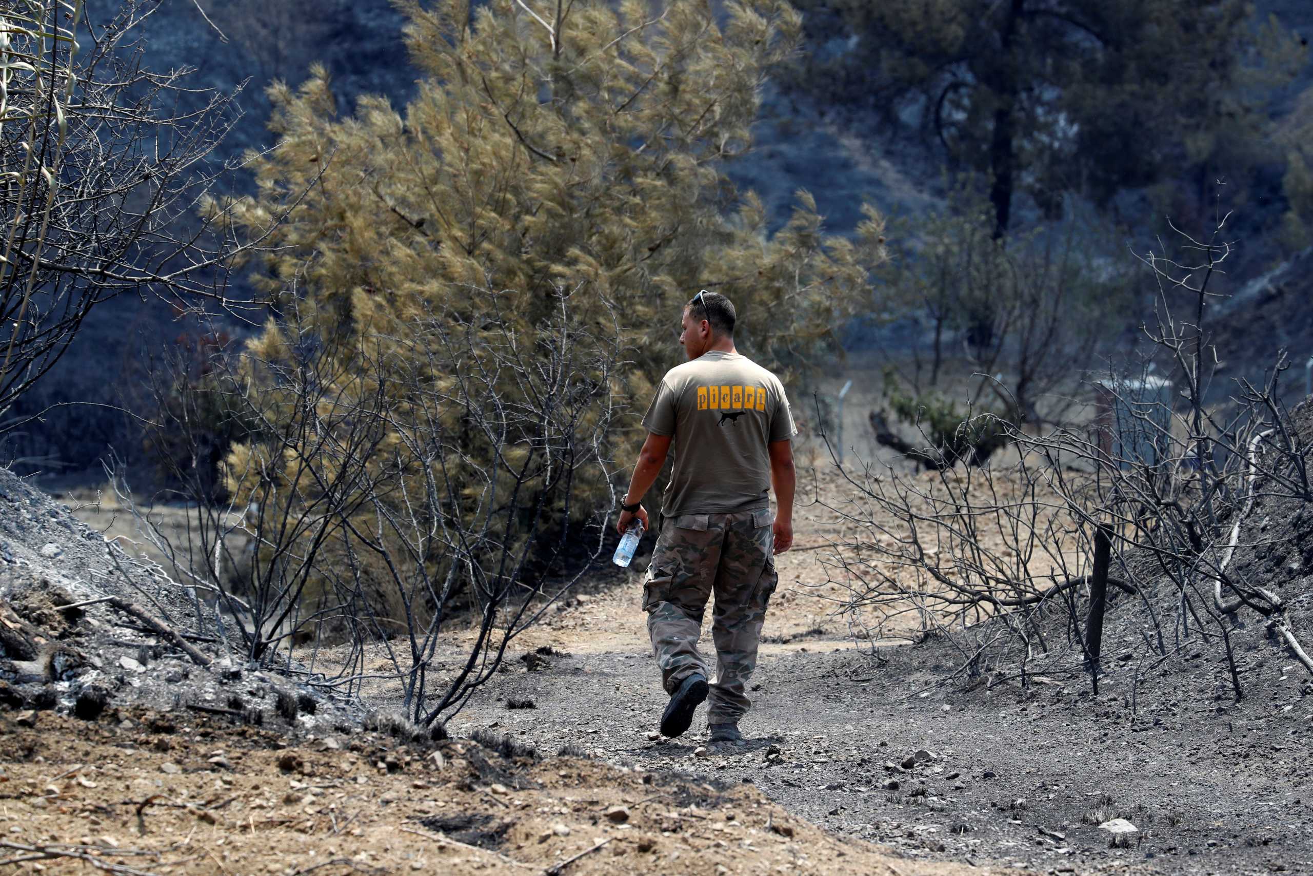 A man walks next to burned trees following a wildfire near the village of Ora, in the Larnaca mountain region, Cyprus July 4, 2021. REUTERS