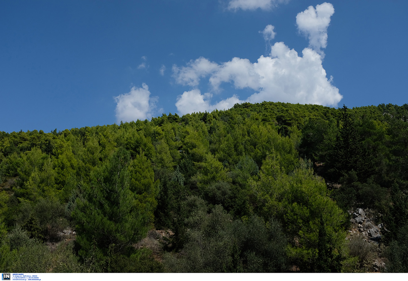 Μονοήμερη εκδρομή στα βουνά της Αττικής: Όσα αξίζει να δεις