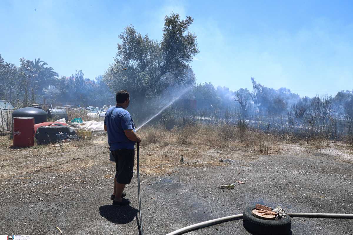 Φωτιά στην Παλλήνη – Ισχυρές δυνάμεις της πυροσβεστικής