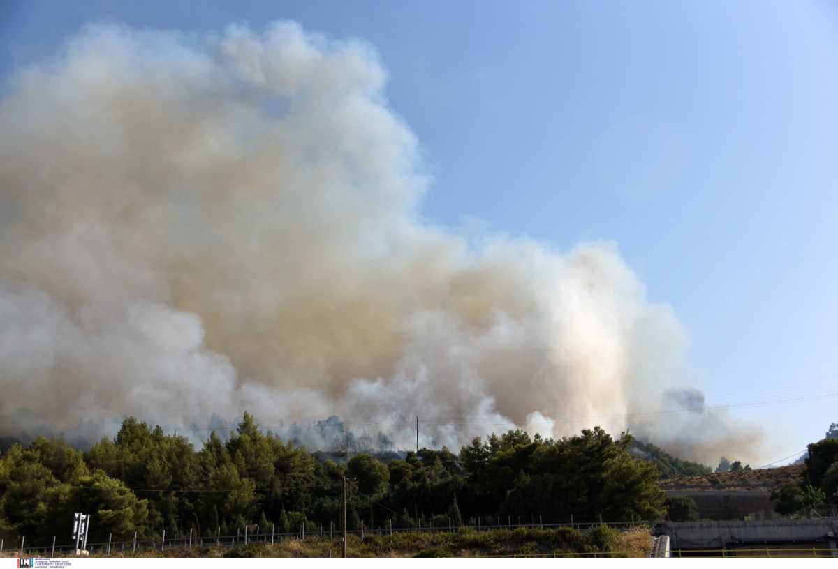 Φωτιές – Καιρός: Πώς θα είναι οι άνεμοι τις επόμενες ώρες