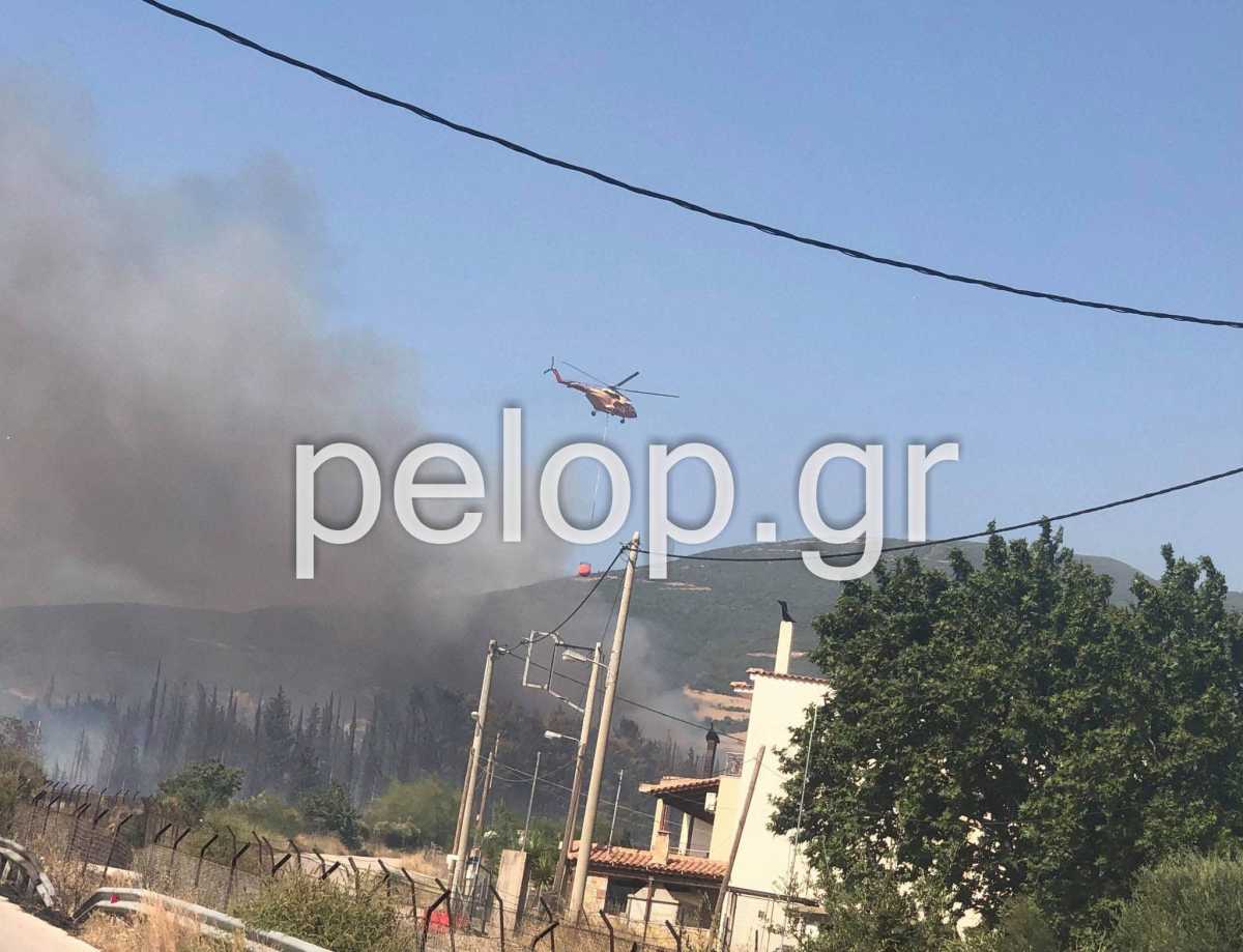 Φωτιά στην Αχαΐα: Τα στοιχεία που ενισχύουν το σενάριο του εμπρησμού