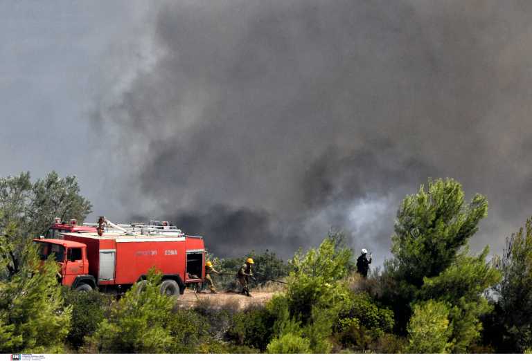 Πέντε μέτωπα στη Μακεδονία: Μαίνονται οι φωτιές σε Χαλκιδική, Κιλκίς, Γρεβενά και Κοζάνη