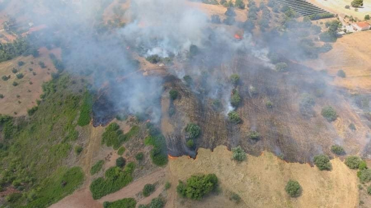 Υπό έλεγχο η φωτιά στον Ωρωπό – Δεν απείλησε σπίτια