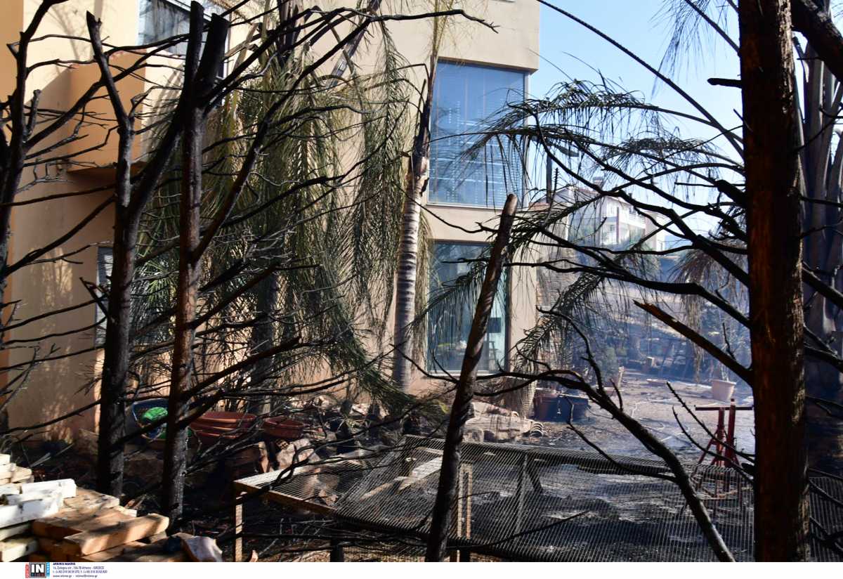 Φωτιές σε Πάτρα και Δροσιά: Μαρτυρίες κατοικών για εμπρησμό