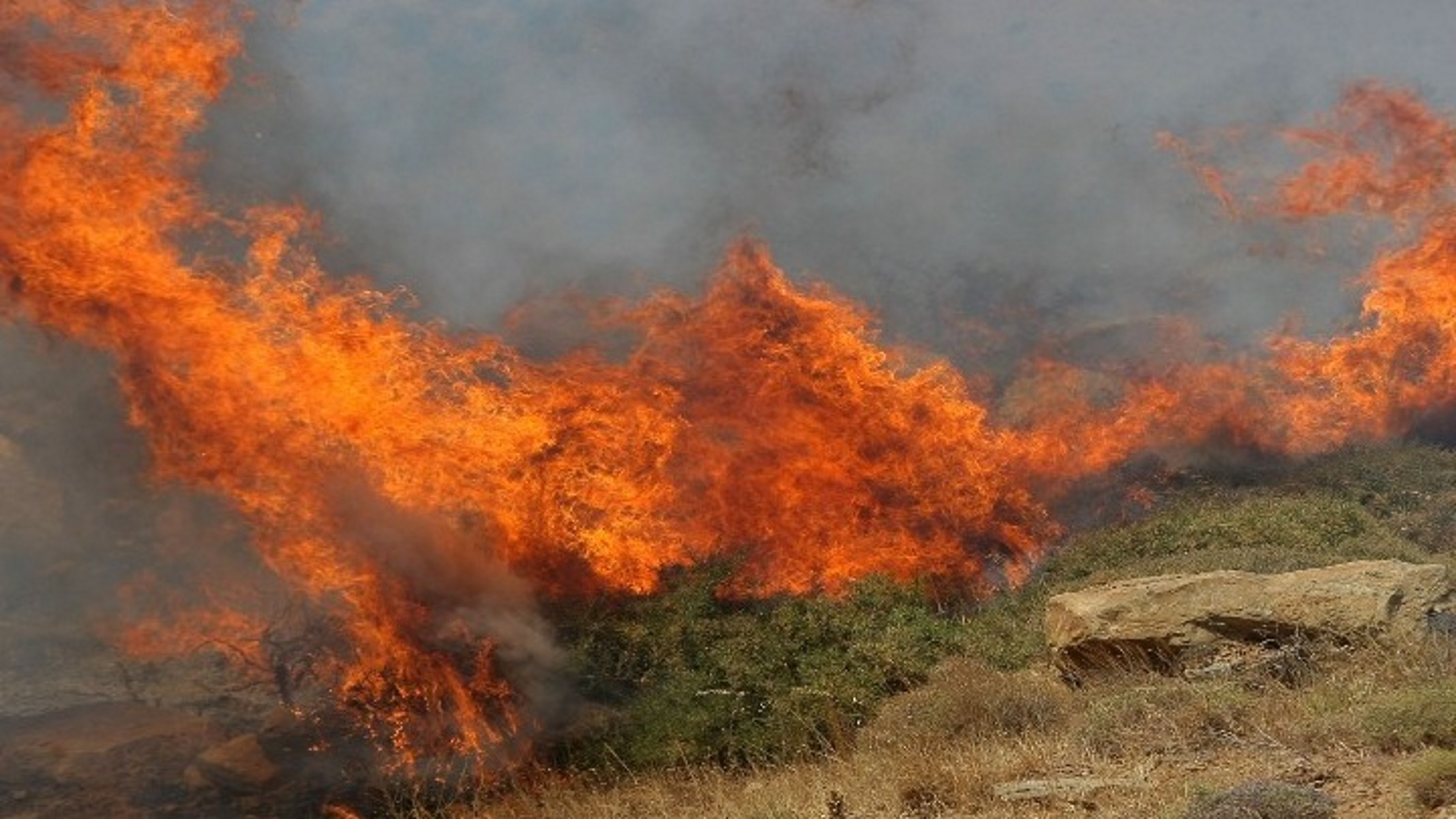 Φωτιά σε Διαβατά και Βαθύλακκο Θεσσαλονίκης – «Σύμμαχος» ο αέρας και η ζέστη