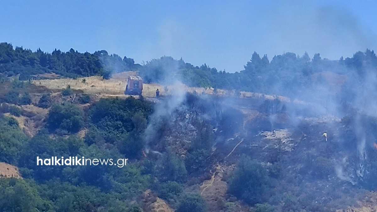 Φωτιά στη Σιθωνία Χαλκιδικής – Καίγεται δάσος