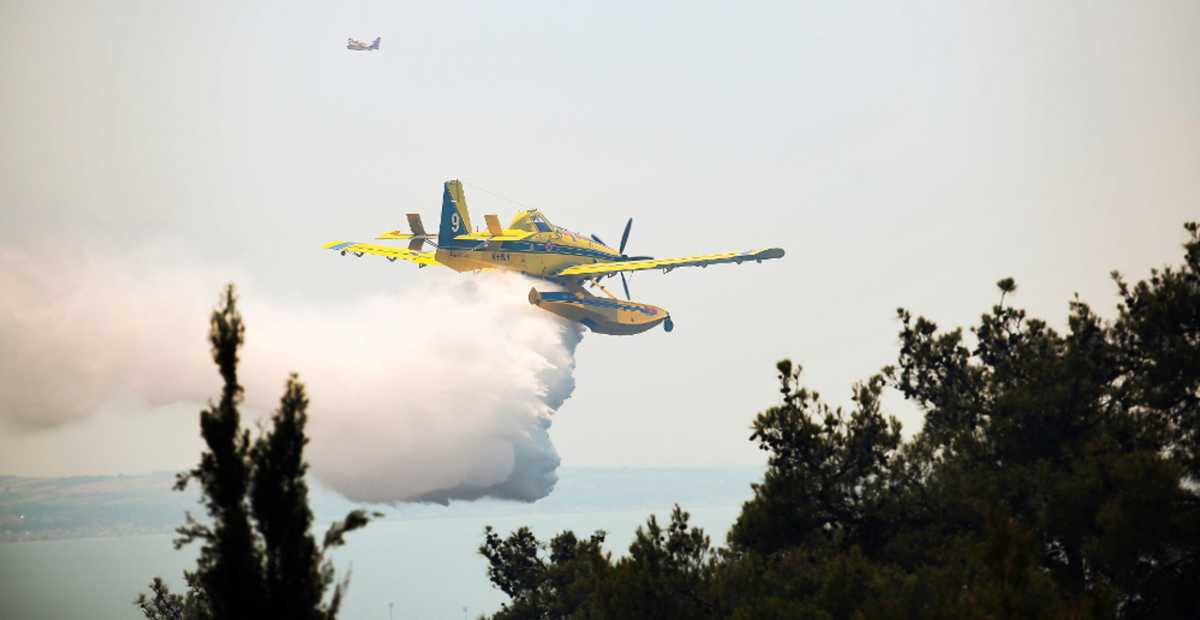 Φωτιά στην Πέλλα: Φλέγεται δύσβατη δασική έκταση στη Σκύδρα – Μάχη με τον χρόνο για την κατάσβεση