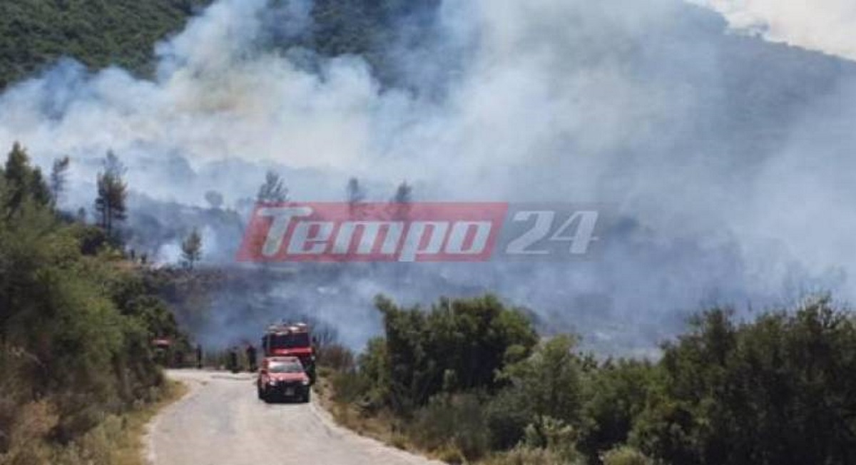 Φωτιά στην Αχαΐα: Εκκενώθηκαν Δροσιά και Σκιαδά – Δραματική έκκληση: Καιγόμαστε