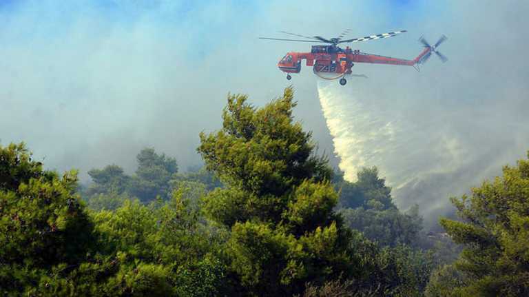 Φωτιά στη Χασιά - Άμεση κινητοποίηση της πυροσβεστικής με επίγεια και εναέρια μέσα