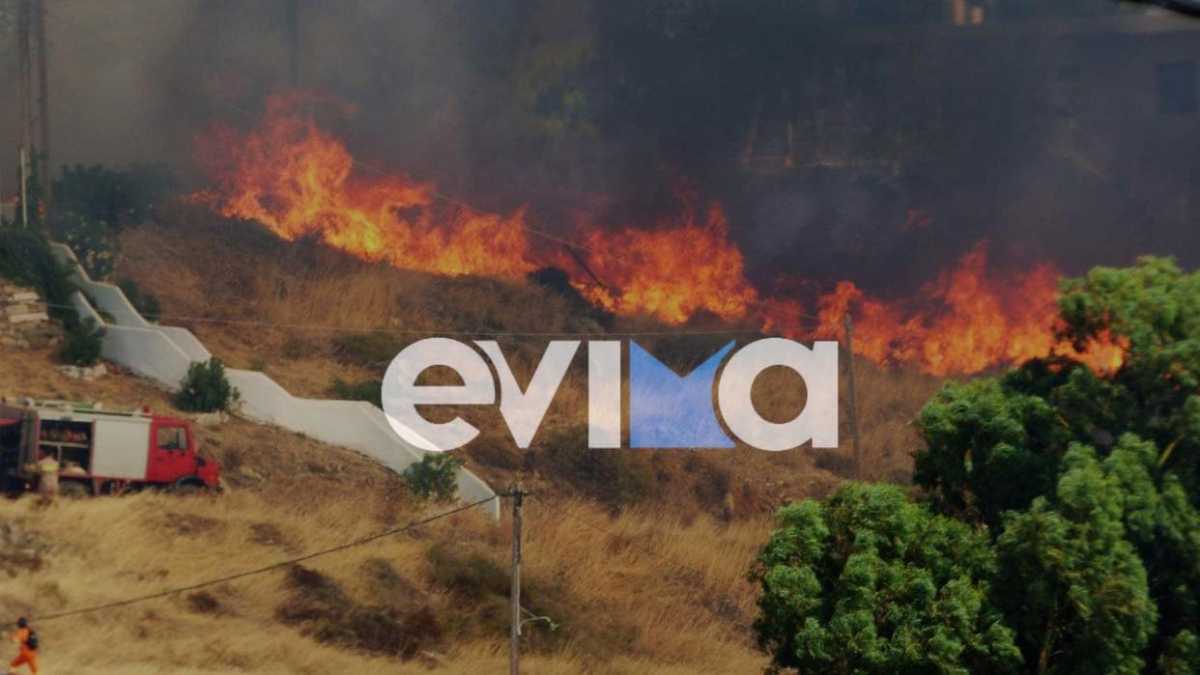 Φωτιά στην Κάρυστο: Κοντά στα σπίτια οι φλόγες – «Φοβηθήκαμε πολύ»