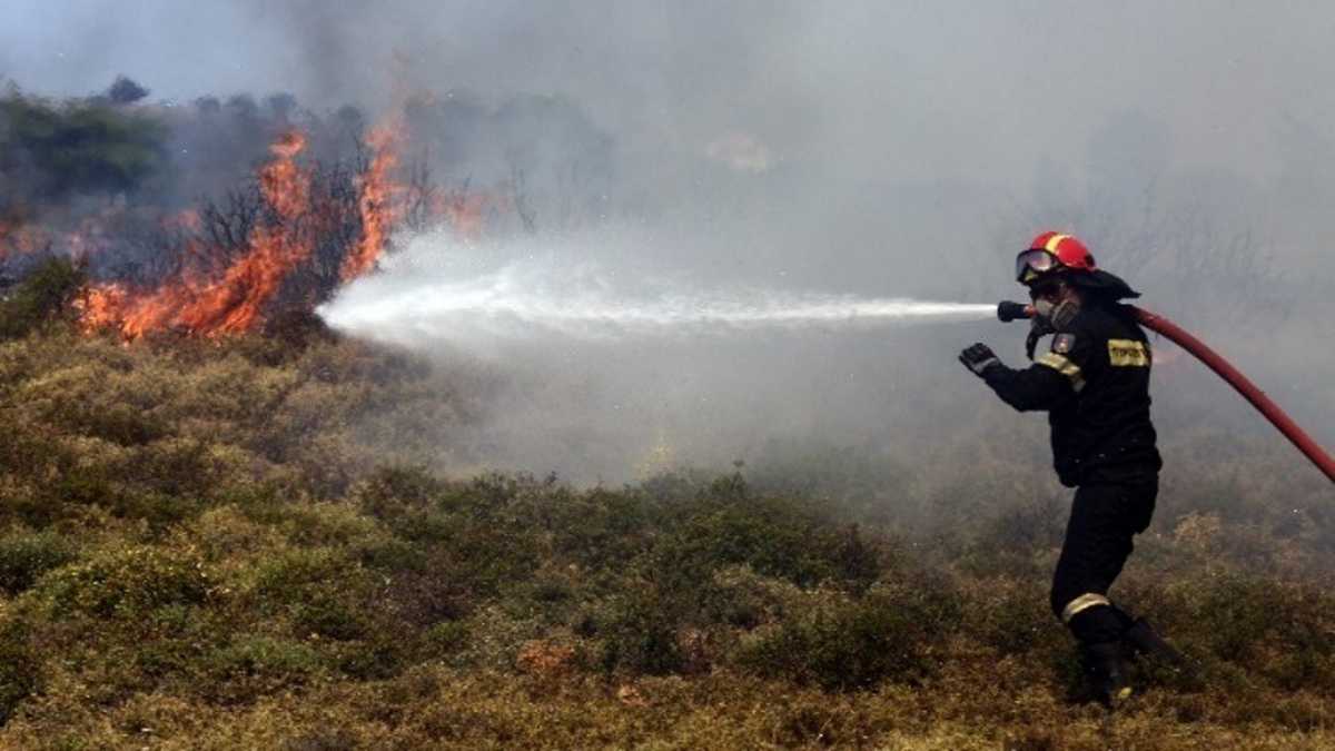 Θεσσαλονίκη: Υπό έλεγχο η φωτιά στον Λαγκαδά – Παραμένουν Πυροσβέστες έξω από το Κολχικό