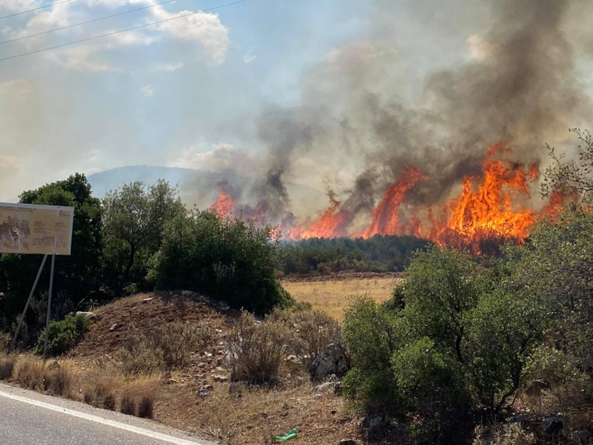 Φωτιά στο Κιλκίς: Ολονύχτια μάχη με τις φλόγες