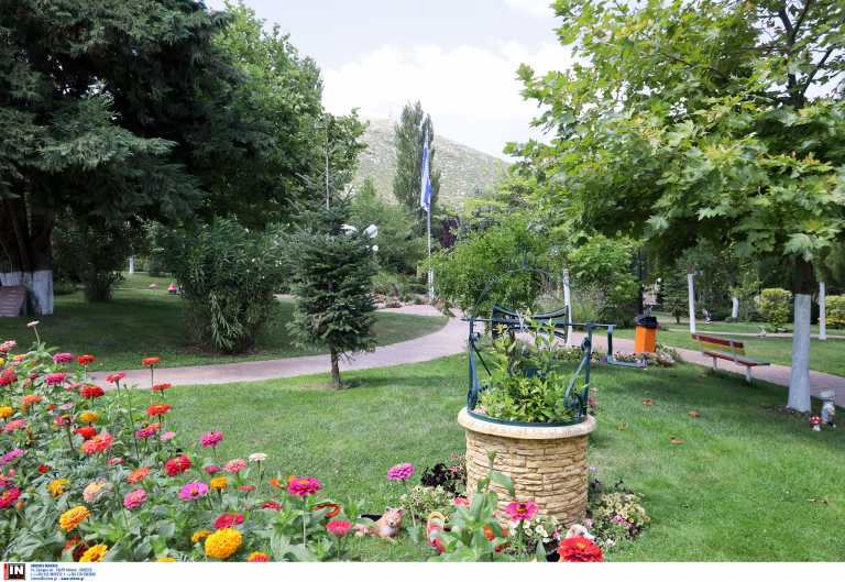 κατασκήνωση