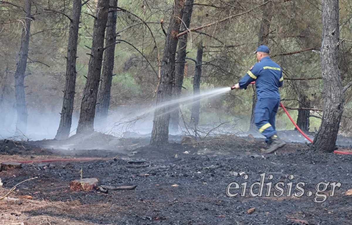 Κιλκίς: Η φωτιά και ο περιπατητής που έσωσε τον πευκόφυτο λόφο από την πλήρη καταστροφή