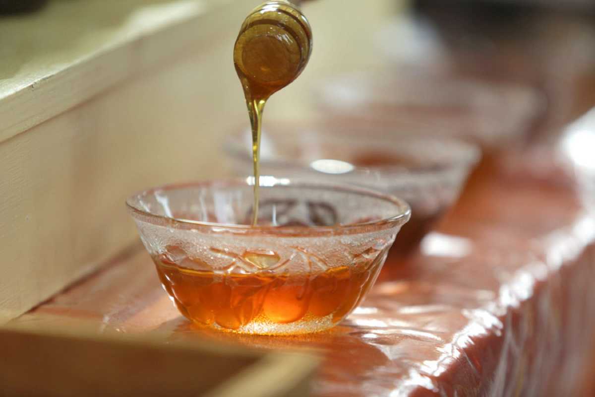 Τι απαντά η Μελισσοκομική Συνεργασία Κρήτης για το μέλι που ανακάλεσε ο ΕΦΕΤ