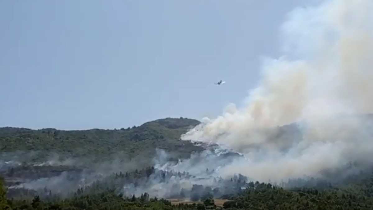 Φωτιά τώρα στην Πάτρα: Εκκενώνεται χωριό – «Οι φλόγες πλησιάζουν τα απομακρυσμένα σπίτια» λέει ο δήμαρχος