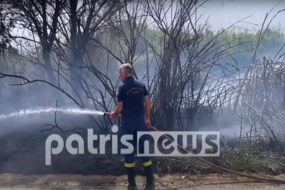 Φωτιά τώρα στην Ηλεία κοντά στη Μανωλάδα