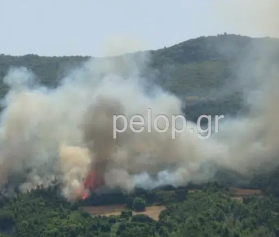 Φωτιά τώρα στην Πάτρα – Κοντά στο Καλέντζι