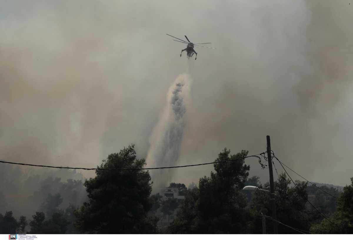 Φωτιά στην Σταμάτα: Νέο επείγον σήμα από το 112 – «Κλείστε καμινάδες, παράθυρα και πόρτες»