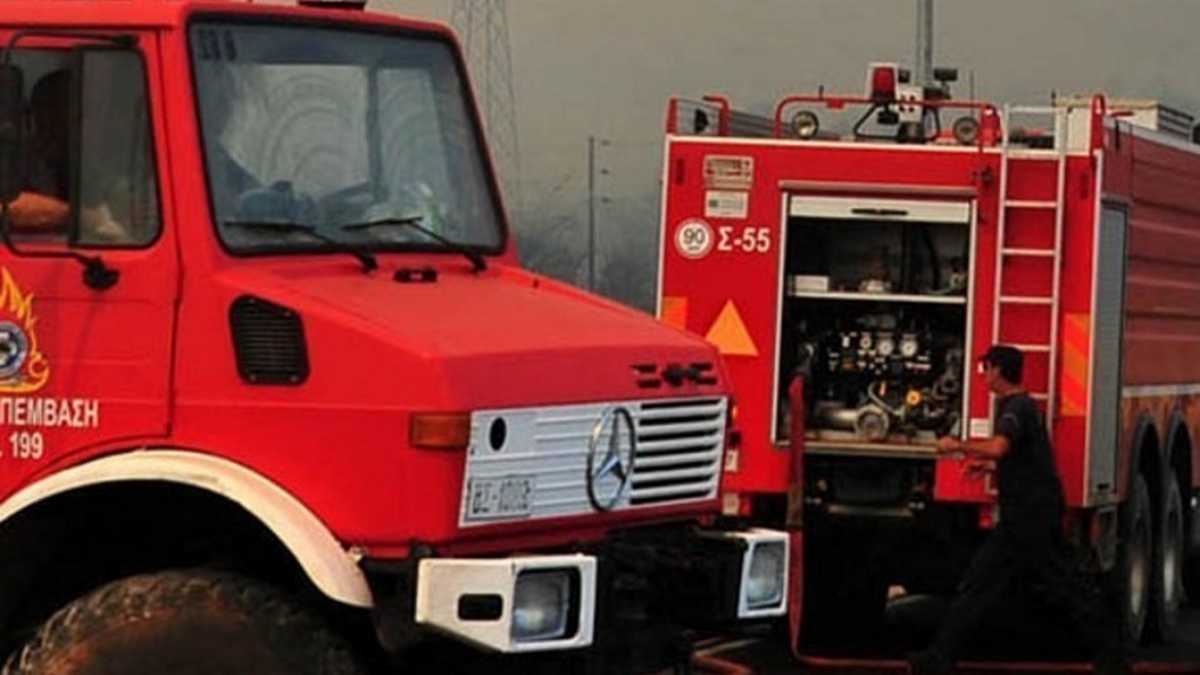 Χαλκιδική: Ανεξέλεγκτη η φωτιά σε δάσος της περιοχής – Ενισχύονται οι δυνάμεις της πυροσβεστικής