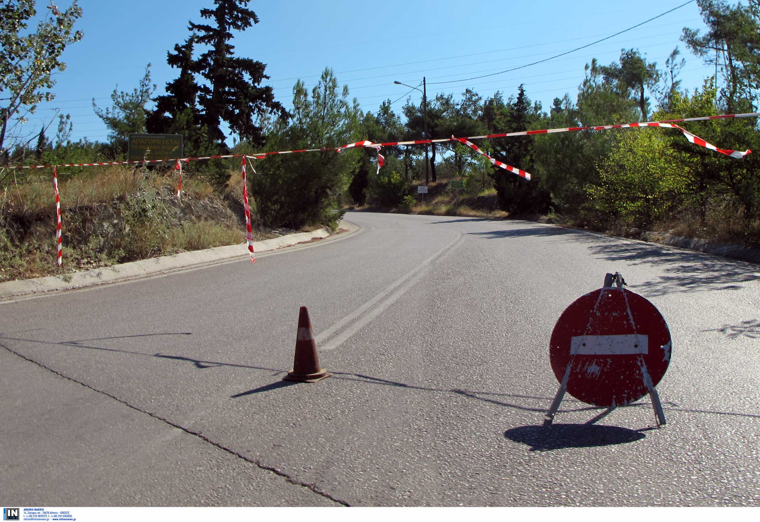 Θεσσαλονίκη: Σε πλήρη εξέλιξη τα έργα στο δάσος Σέιχ Σου – Οι συστάσεις υπό τον φόβο πυρκαγιών