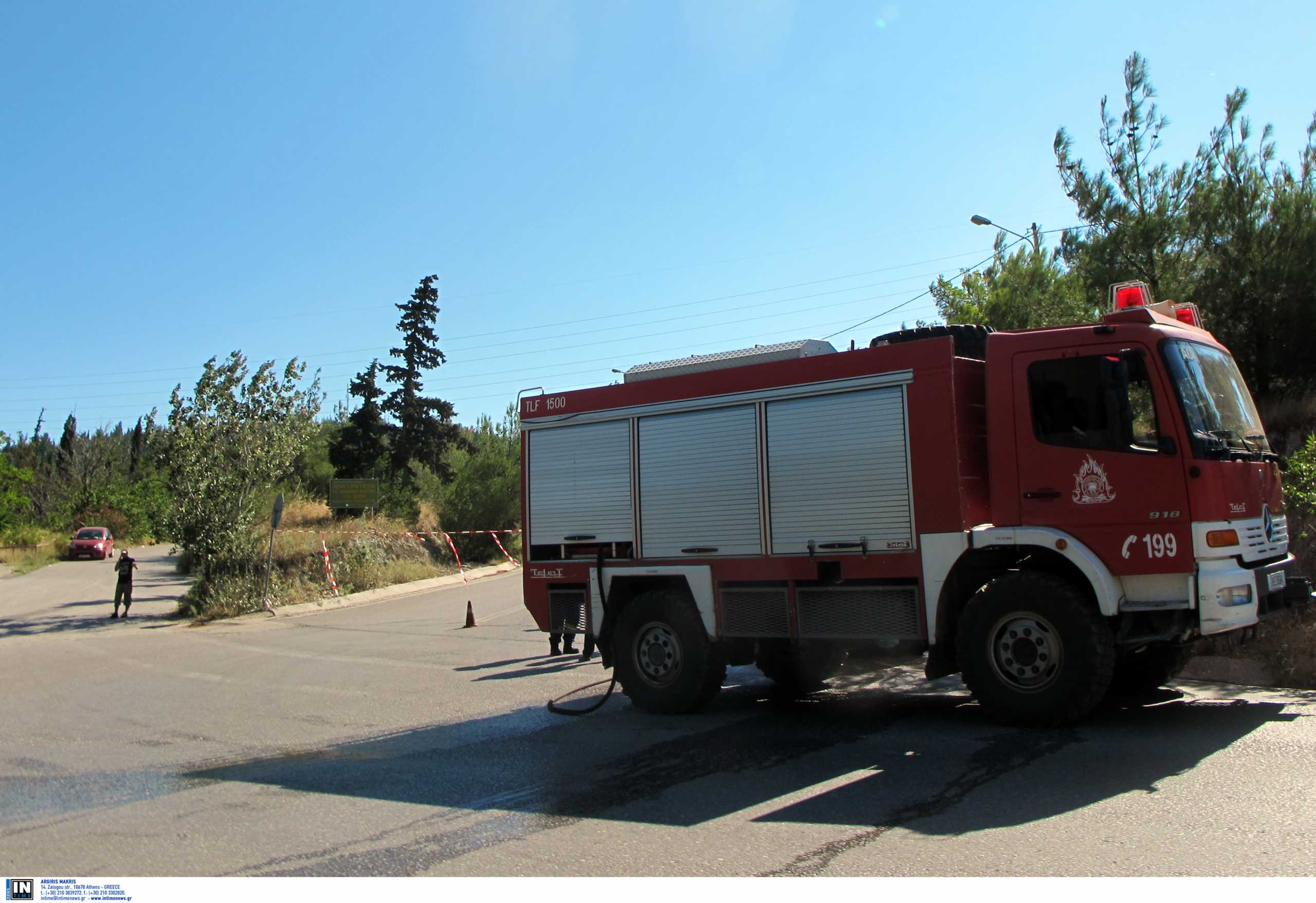 Έβρος: Απαγόρευση κυκλοφορίας αύριο σε δάση της περιοχής λόγω κινδύνου πυρκαγιάς