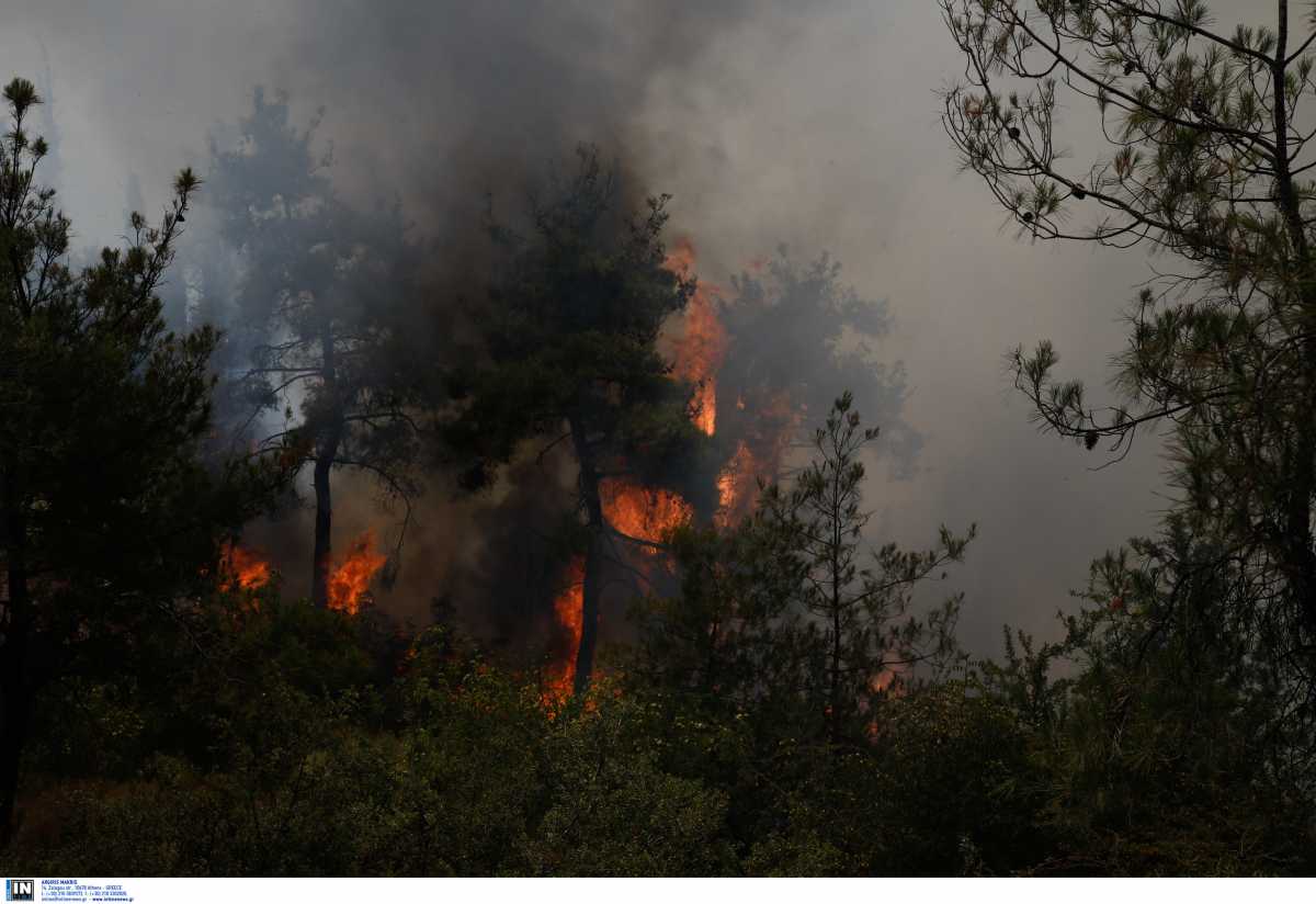 Φωτιά στο Μεσολόγγι στην περιοχή Στάμνα – Επίγειες και εναέριες δυνάμεις