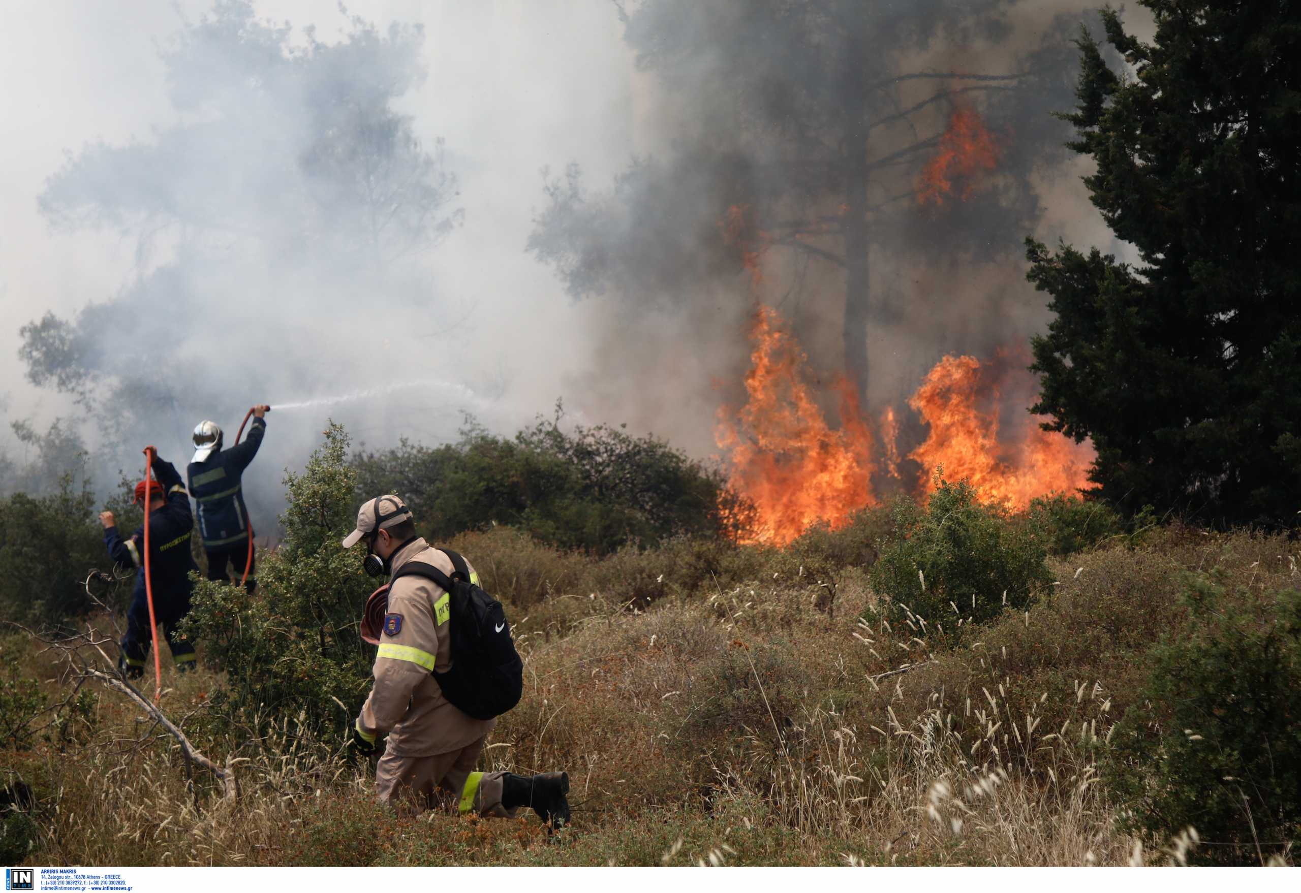 Πολιτική Προστασία: Σε κατάσταση έκτακτης ανάγκης λόγω των ισχυρών ανέμων – «Δεν ανάβουμε φωτιά για κανένα λόγο»