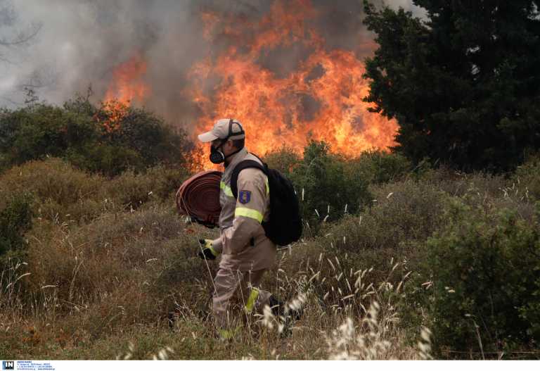 Πυροσβεστική: 42 πυρκαγιές σε ένα 24ωρο