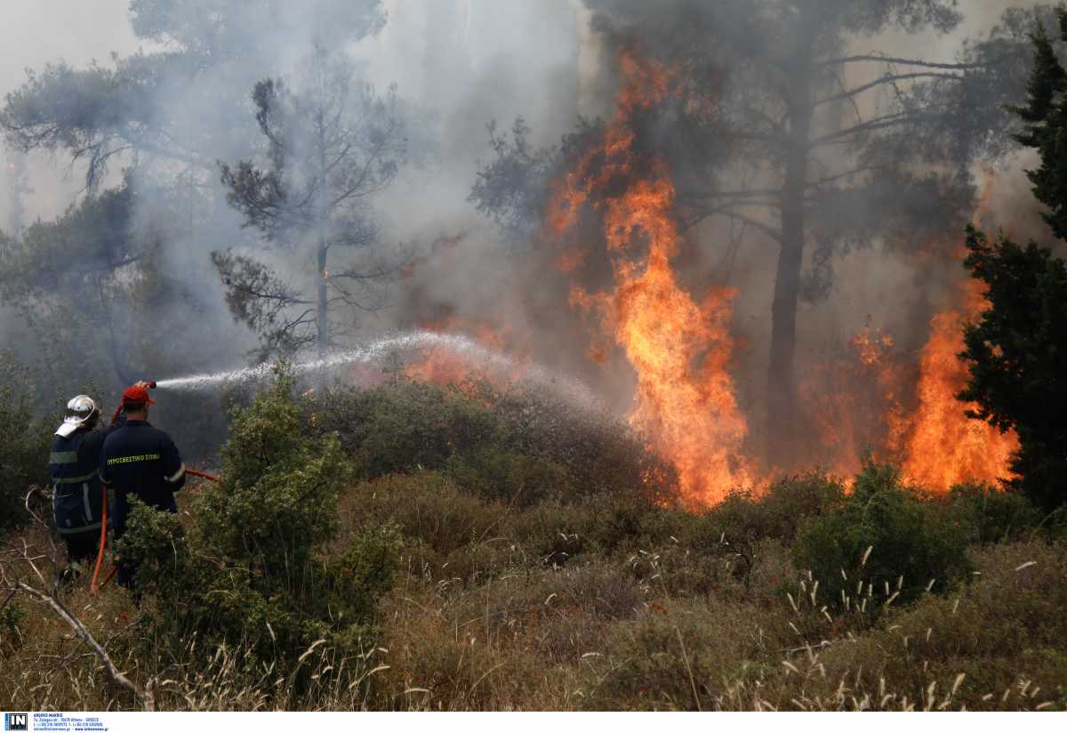 Φωτιά στην Ηλεία στην περιοχή Άγναντα