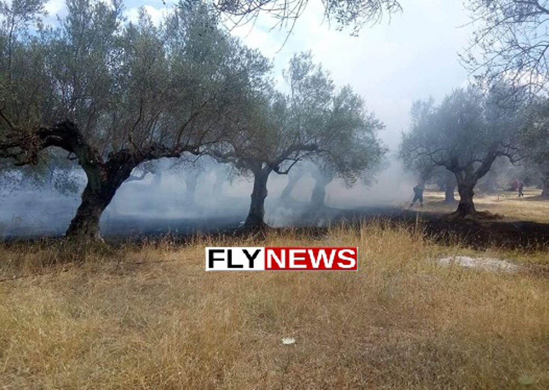 Φωτιά στην Σπάρτη – Την πρόλαβαν πριν επεκταθεί