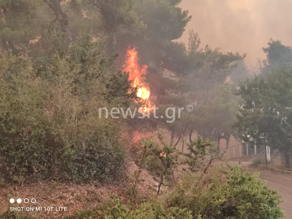 Φωτιά στην Σταμάτα: Μήνυμα από το 112 στους κατοίκους της Βόρειας Αττικής