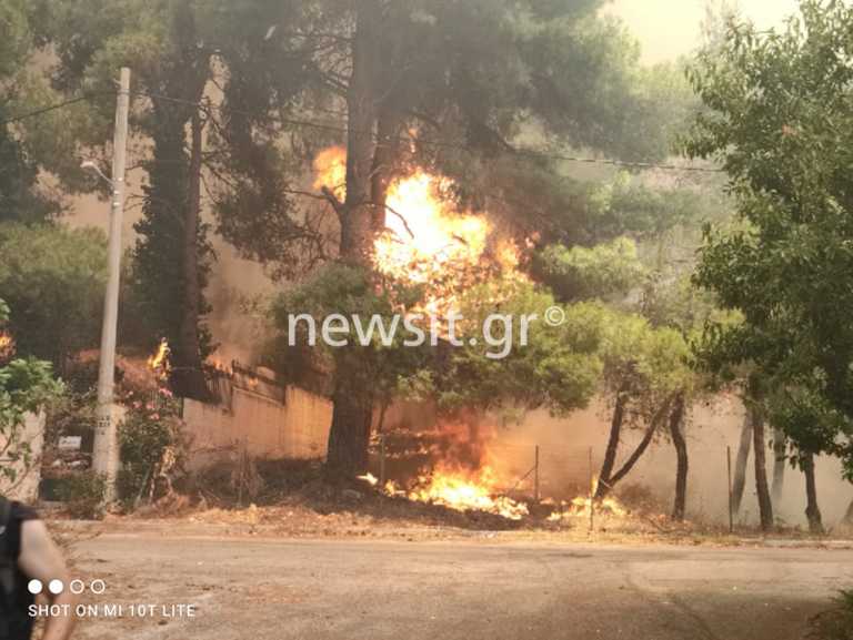 Φωτιά στη Σταμάτα – Ροδόπολη – Διόνυσο: Ελεύθεροι οι 4 προσαχθέντες