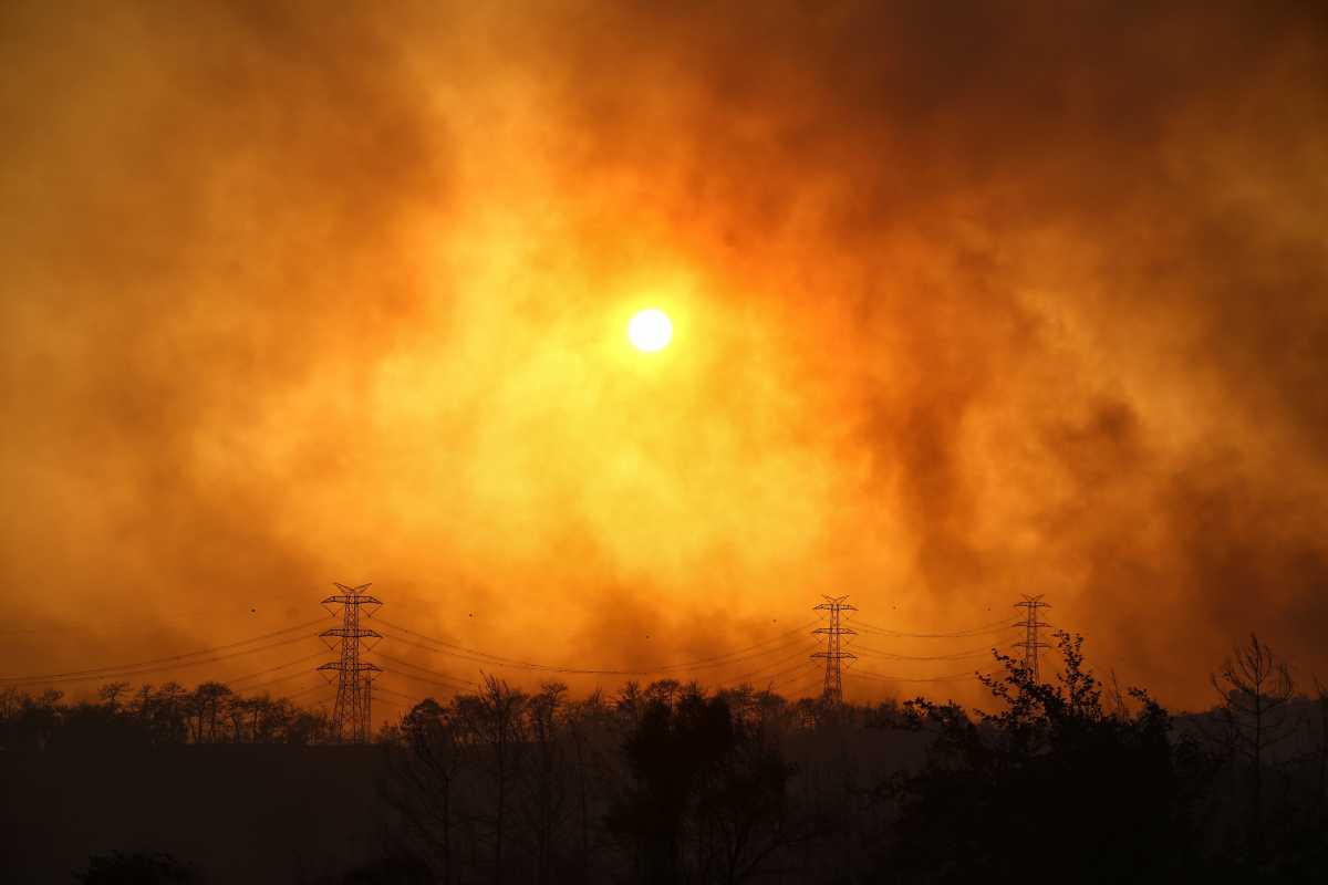 Plumes of black smoke rise from the forest around Manavgat, 75 km (45 miles) east of the resort city of Antalya, Turkey, July 28, 2021. REUTERS