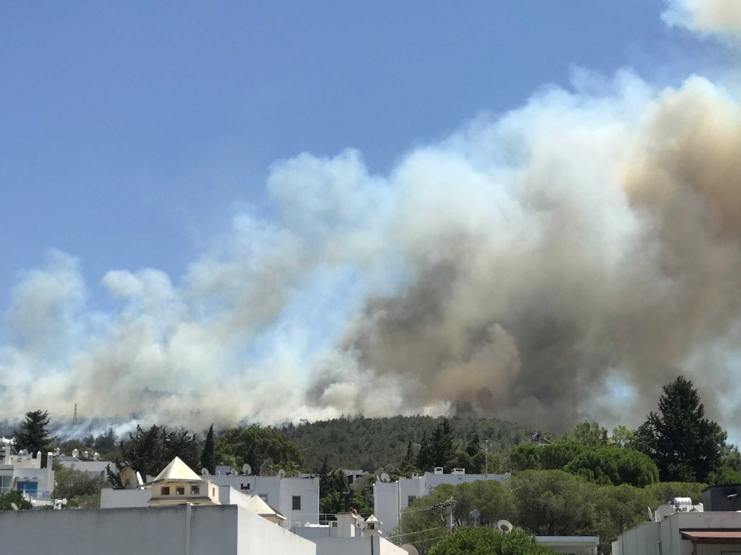 ΕΕ: Στέλνει πυροσβεστικά αεροσκάφη βοηθώντας την Τουρκία στην κατάσβεση των πυρκαγιών