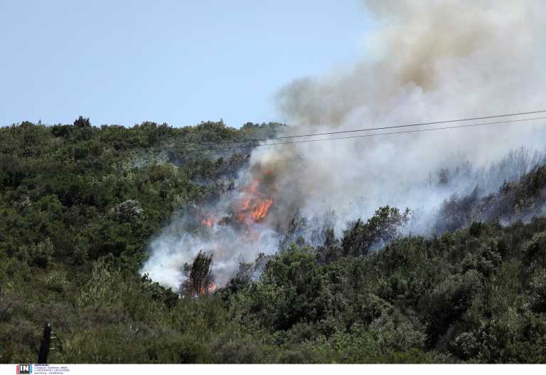 Φωτιά στην Ανατολική Μάνη – Εκκενώνεται ο οικισμός Λιβάδια