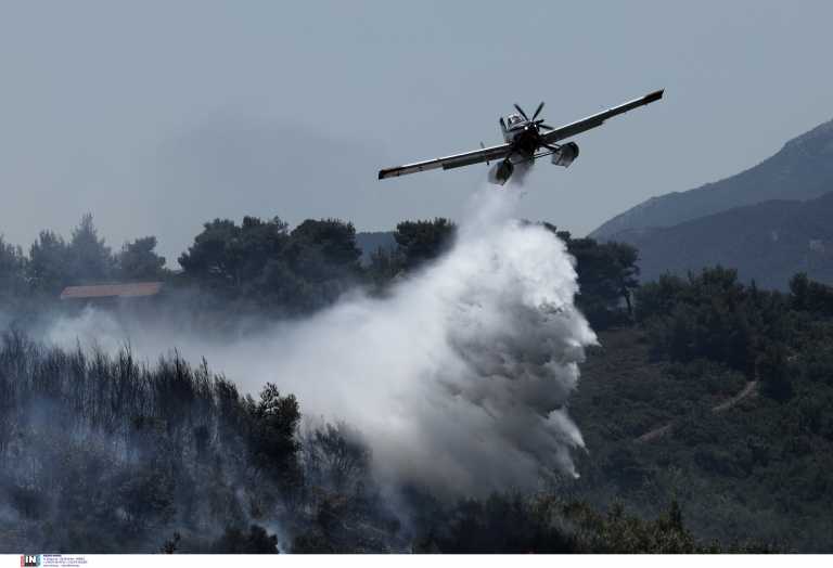 Φωτιά στον Βαρνάβα: Σκληρή μάχη με τις φλόγες μέσα σε συνεχείς αναζωπυρώσεις - Εικόνες από τη μεγάλη καταστροφή