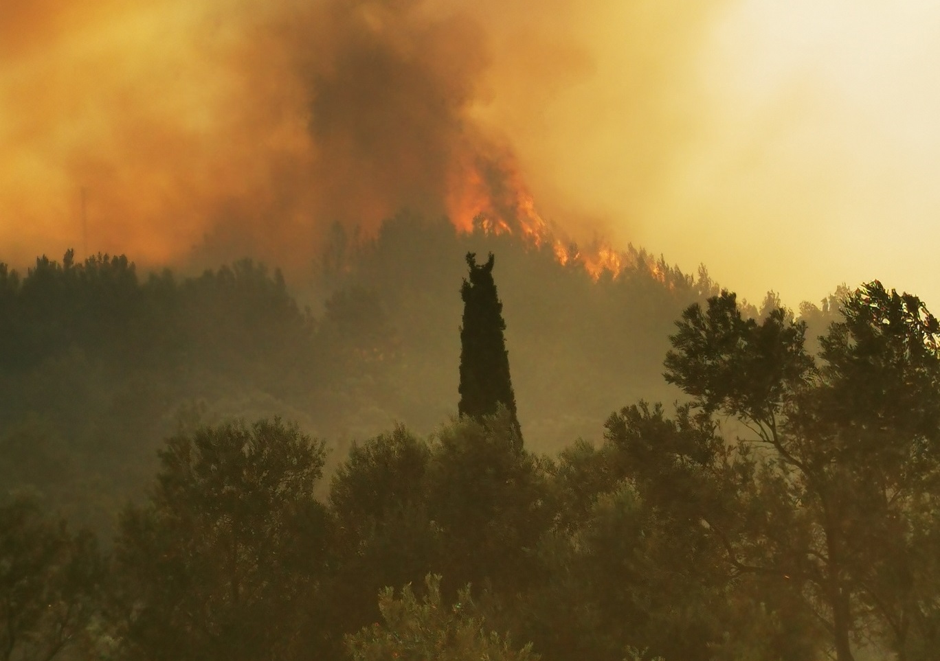 Φωτιά στη Σάμο: Ζητούν να κηρυχθεί το νησί σε κατάσταση έκτακτης ανάγκης