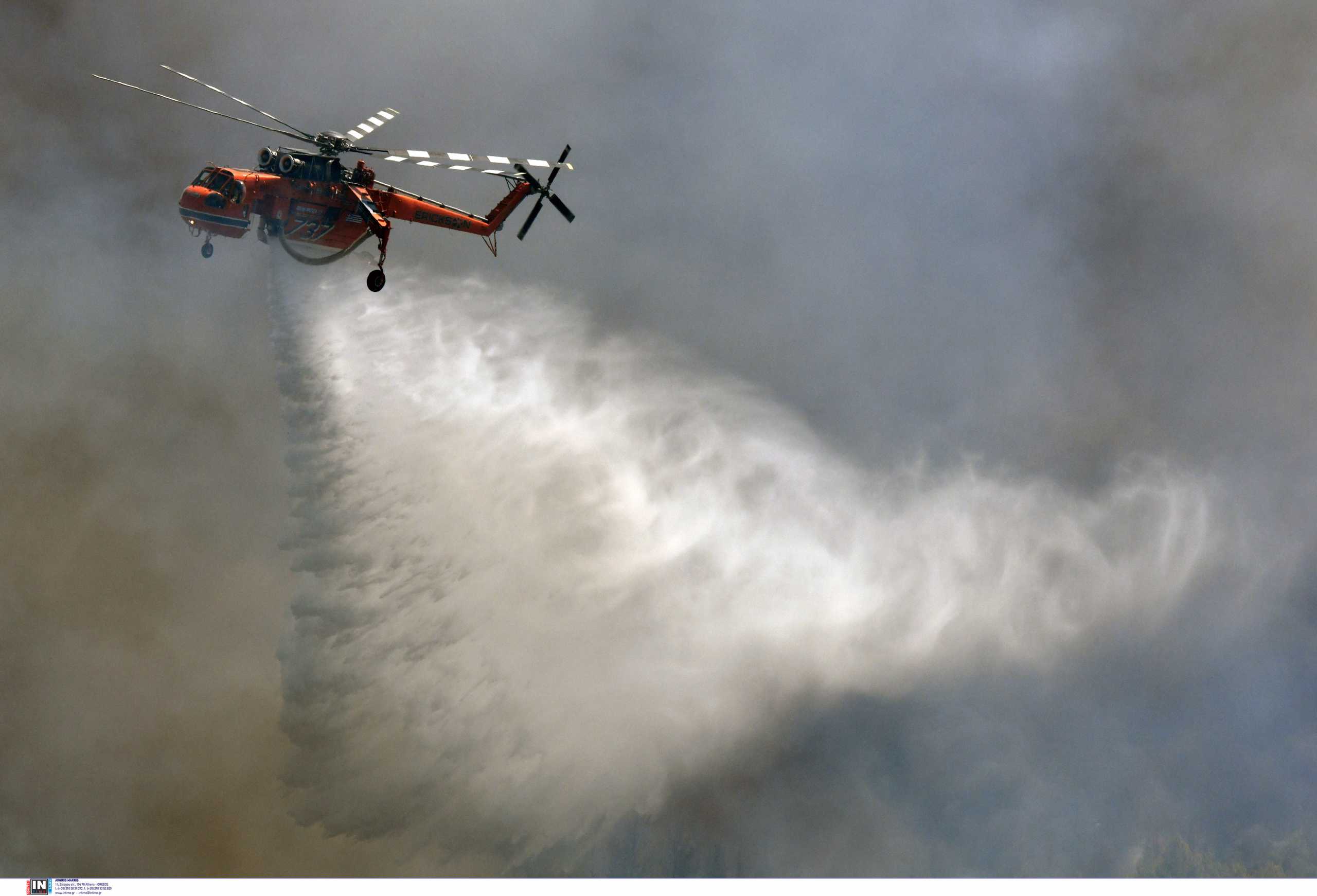 Μεσσηνία: «Έχει περάσει μέσα από σπίτια η φωτιά στην περιοχή Βασιλίτσι»