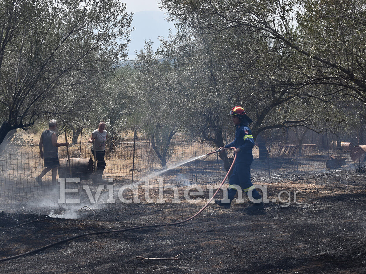 Φωτιά στην Εύβοια: Κάηκαν πάνω από 150 σπίτια και 20.000 στρέμματα γης – Εκκενώνονται 3 ακόμα οικισμοί