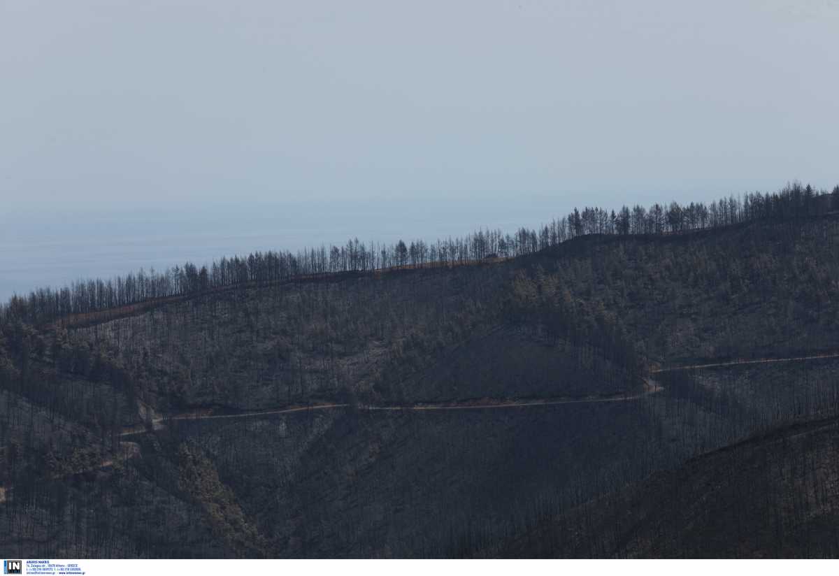Φωτιές: Απαλλάσσονται από τον ΕΝΦΙΑ και τα χωράφια που καταστράφηκαν από τις πυρκαγιές