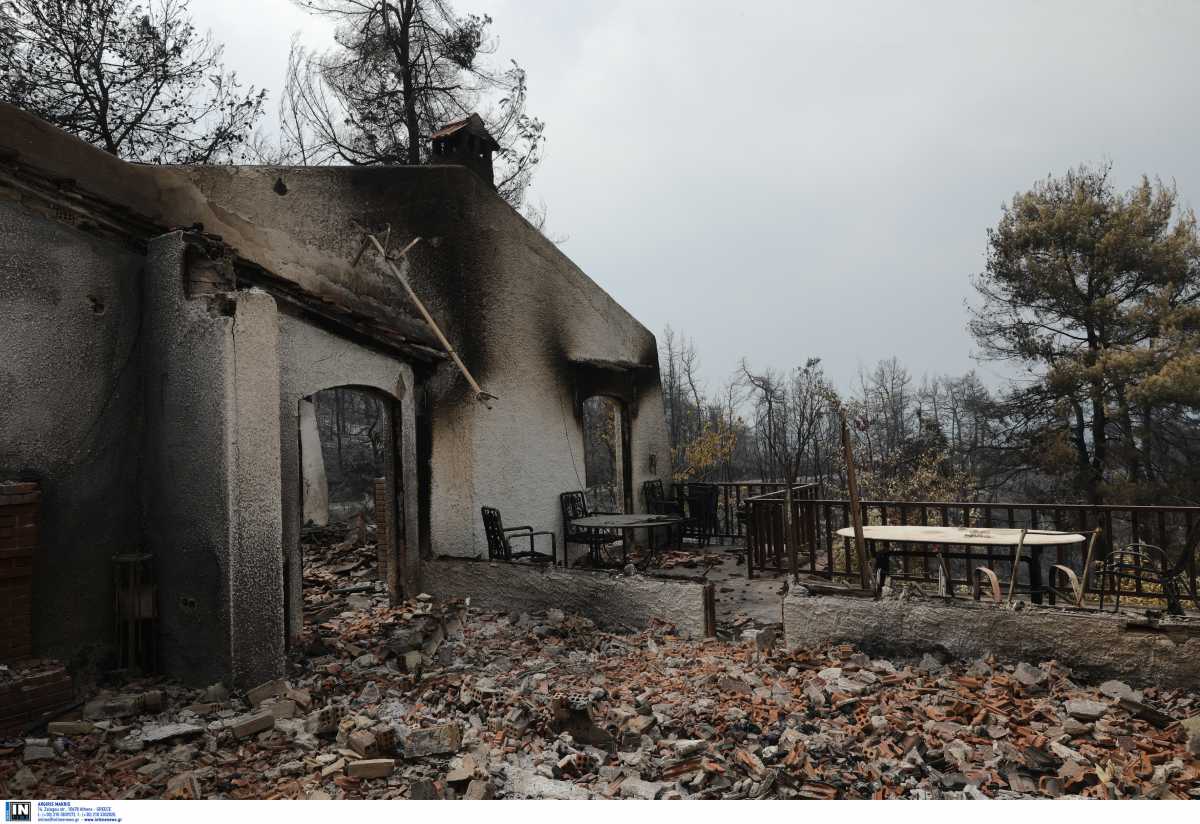 Φωτιές: 2.000 αυτοψίες σε Αττική, Εύβοια και Πελοπόννησο μέχρι σήμερα