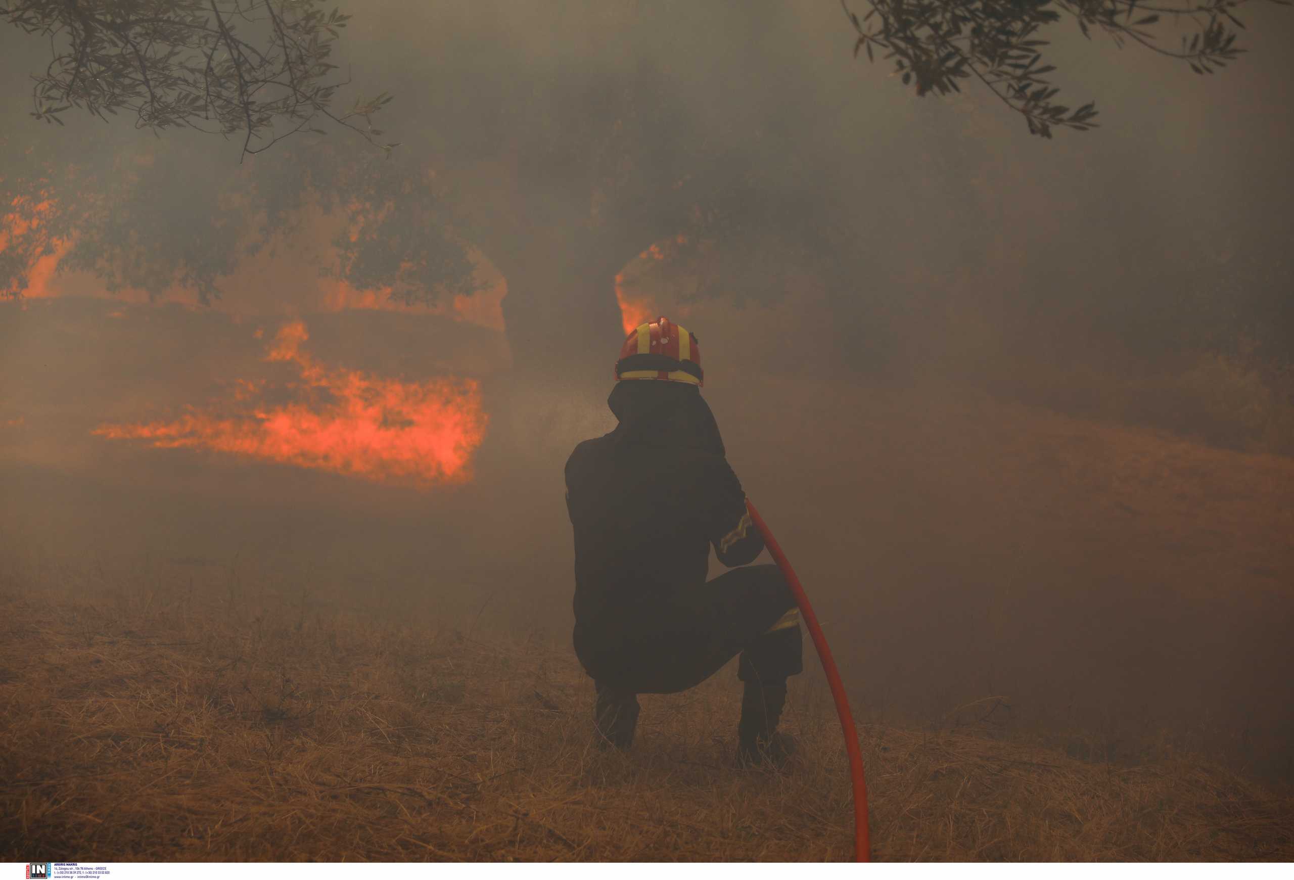 Φωτιά στη Μεσσάτιδα Αχαΐας – Καίγεται δάσος