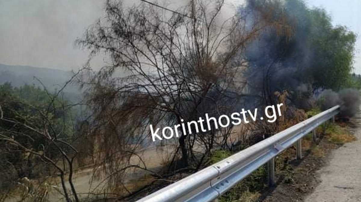 Φωτιά στην Κορινθία: Καίγονται δέντρα και ξερά χόρτα στα Αγιαννιώτικα