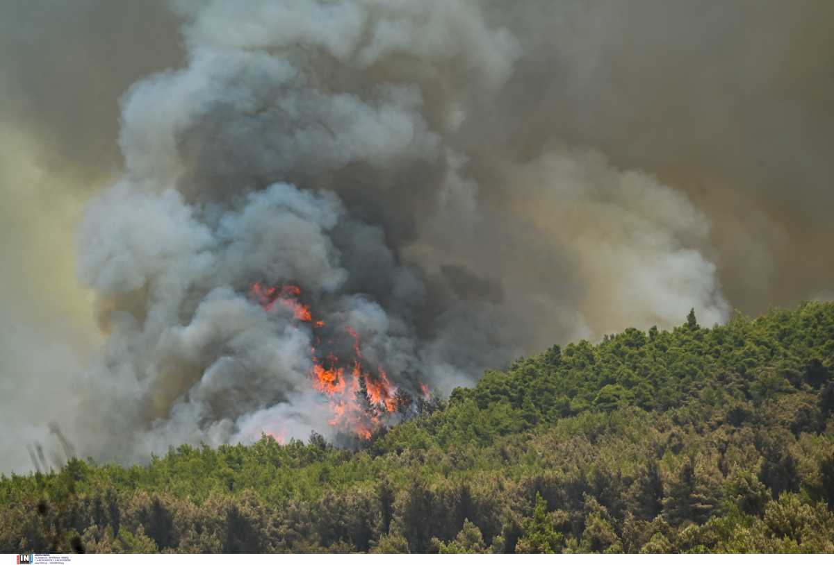 Εκκενώνονται 5 οικισμοί στα Γρεβενά λόγω πυρκαγιάς