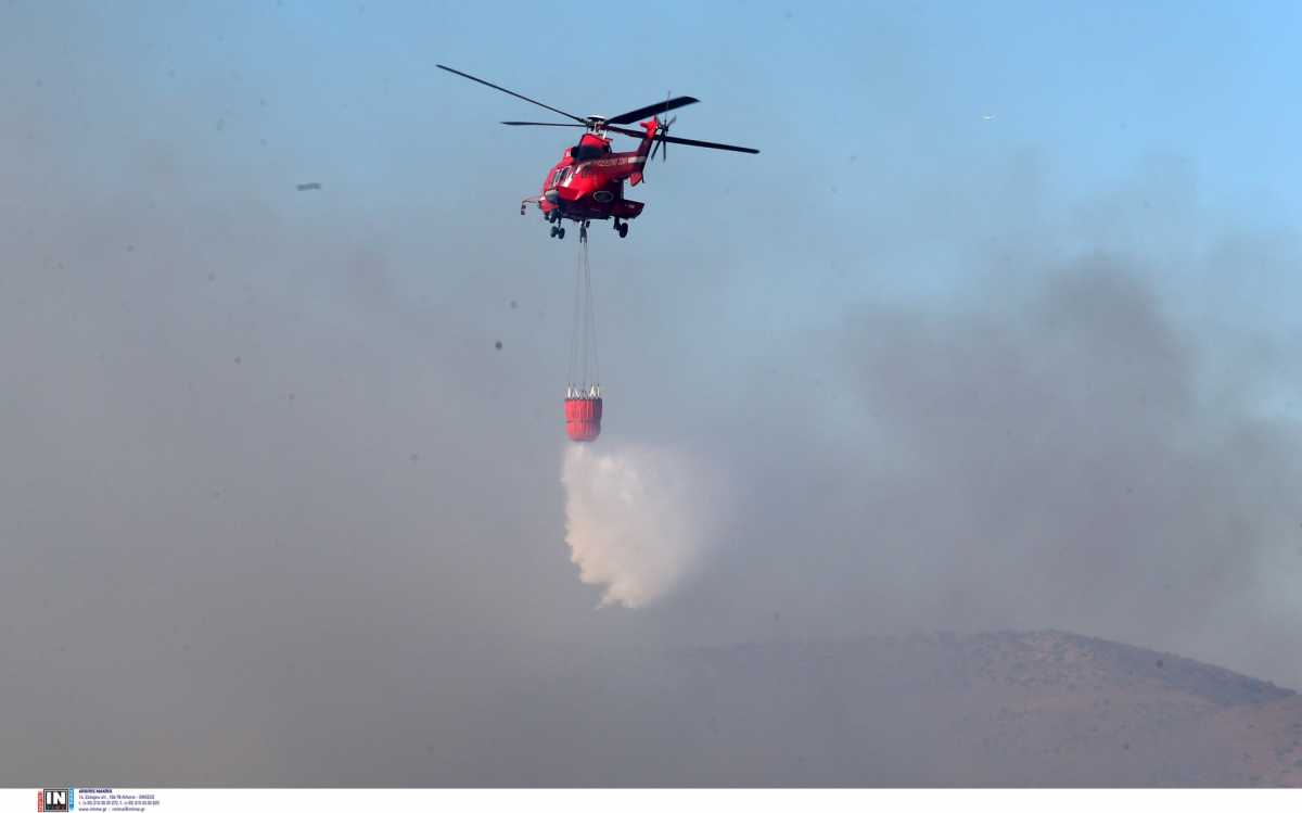 Κρήτη: Σε κόκκινο συναγερμό για τον κίνδυνο εκδήλωσης φωτιάς – Παράταση στα έκτακτα μέτρα