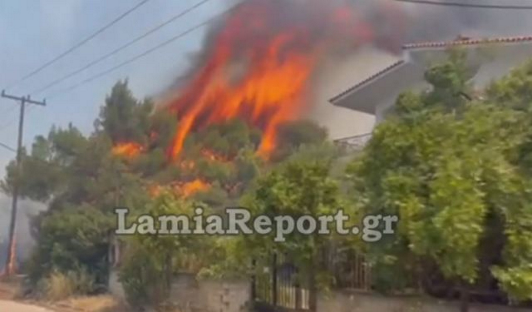 Φωτιές στον Θεολόγο: Ανακρίνεται ένας 14χρονος  για μπαράζ εμπρησμών στην περιοχή