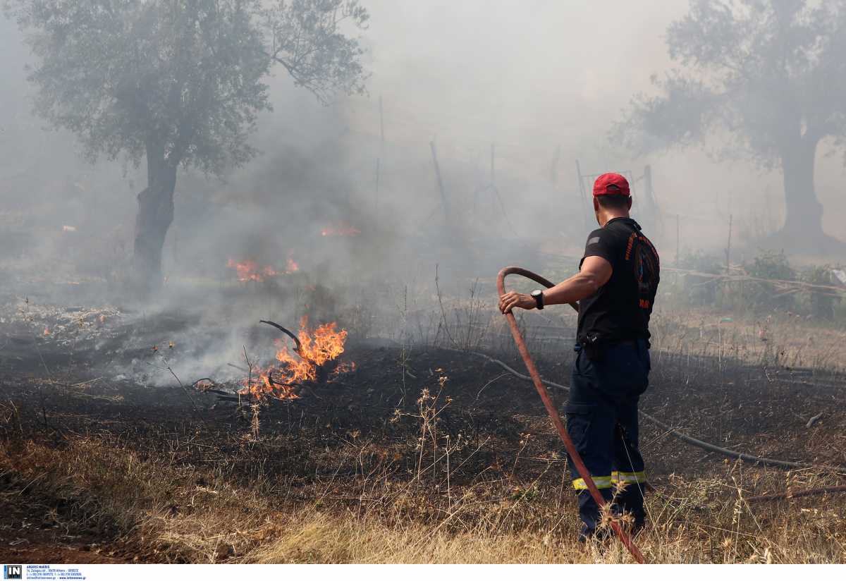 Ρόδος: Μάχη με τις αναζωπυρώσεις δίνουν πυροσβέστες και εθελοντές